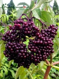 Precios atractivos directamente del fabricante sin intermediarios