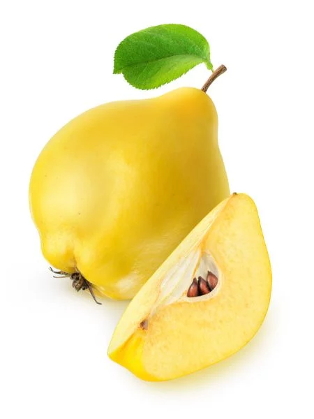 Membrillo
